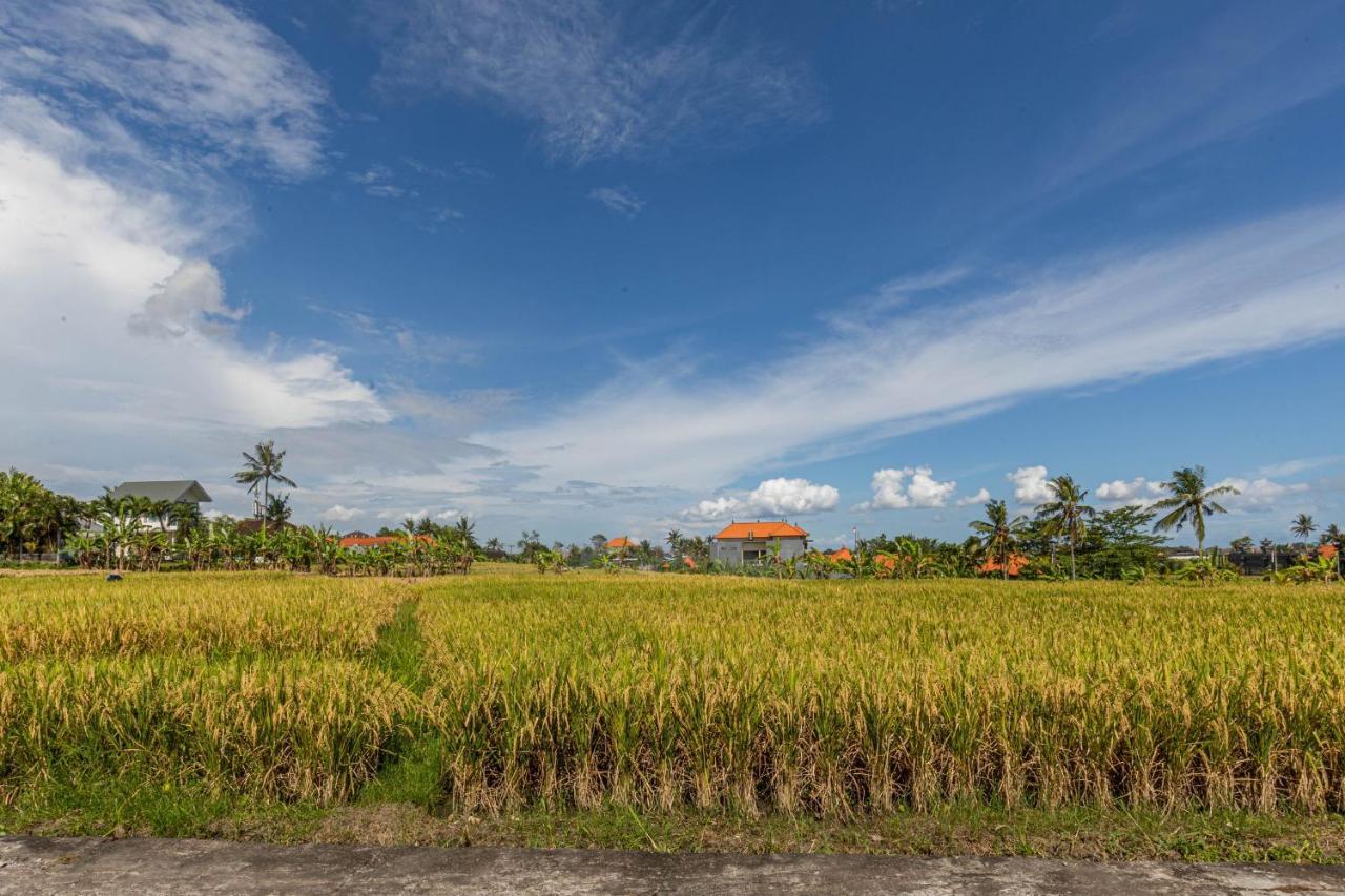 D'Jineng Rice Terrace Canggu Esterno foto